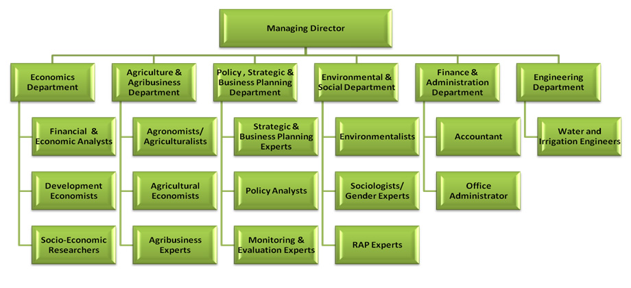AFREDEC organizational structure chart