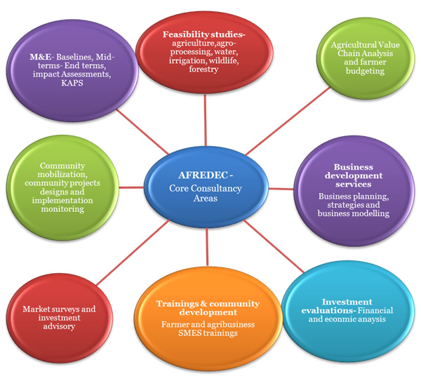 AFREDEC consultancy services